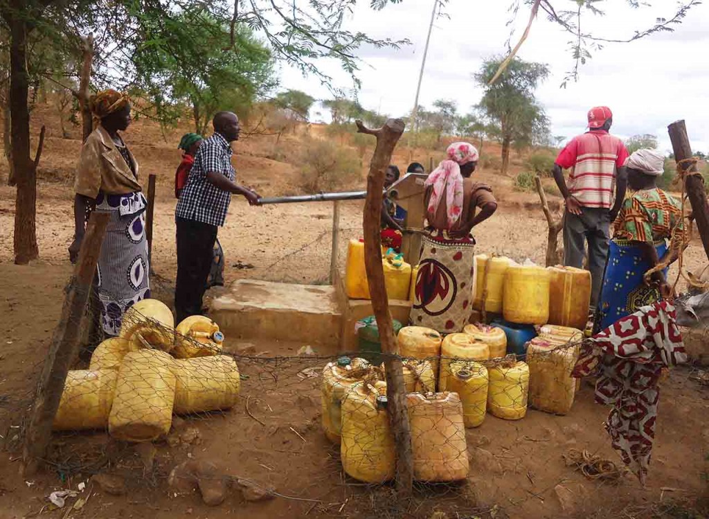 Kenya Semi-Arid Livestock Enhancement Support | Sahelian Solutions Foundation (SASOL)